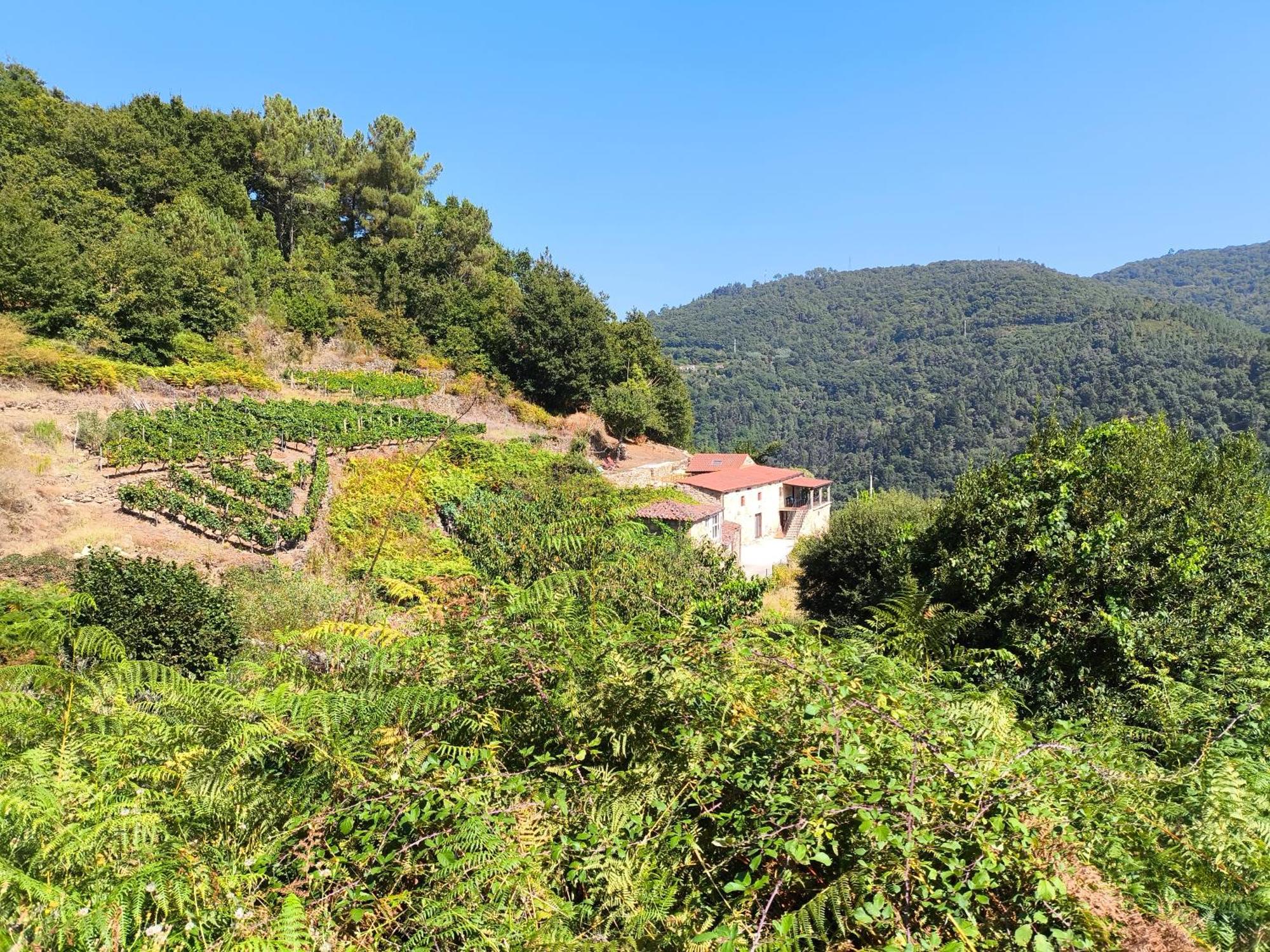 Вилла Xiravai-Ribeira Sacra Пеарес Экстерьер фото