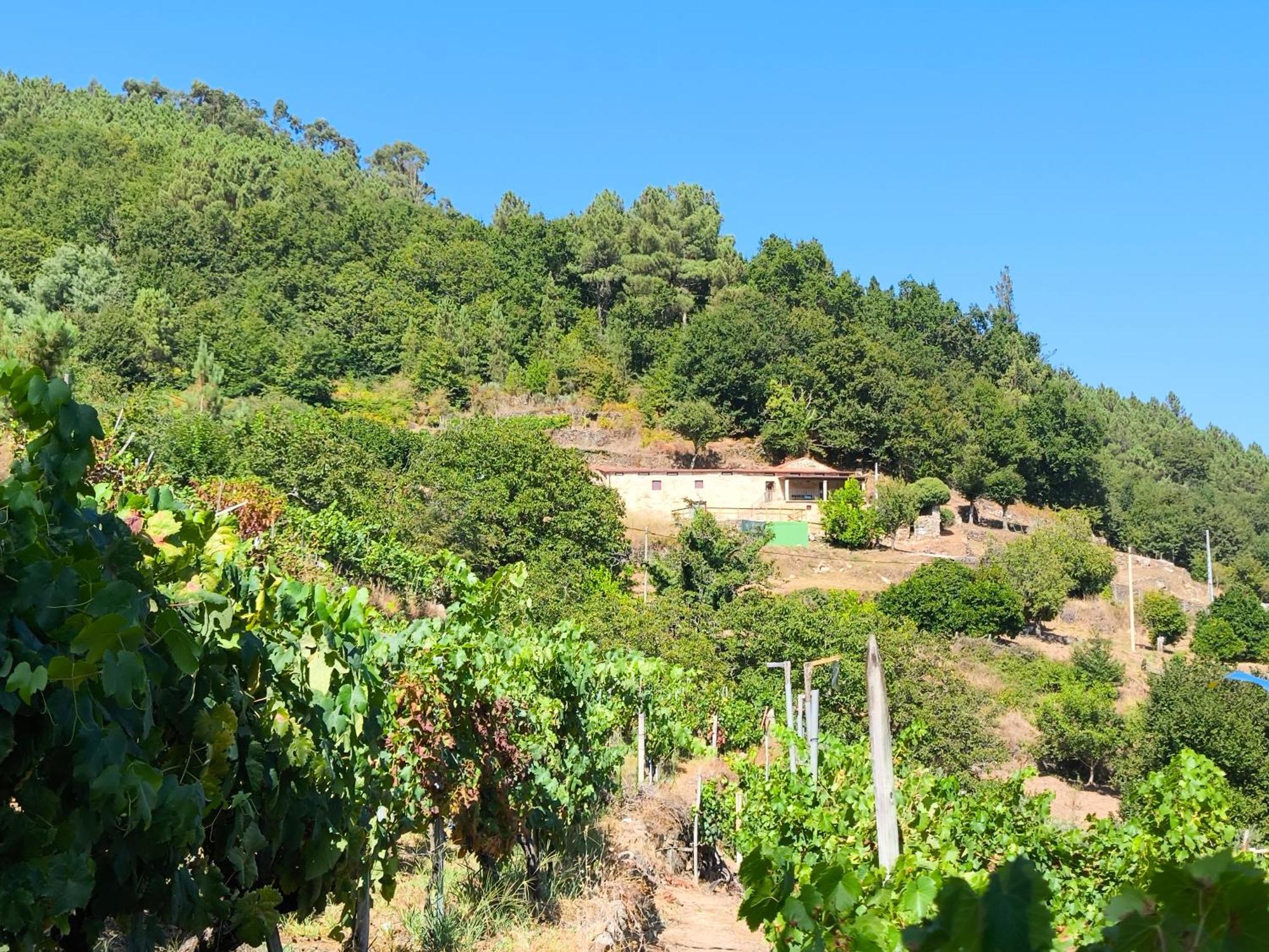 Вилла Xiravai-Ribeira Sacra Пеарес Экстерьер фото